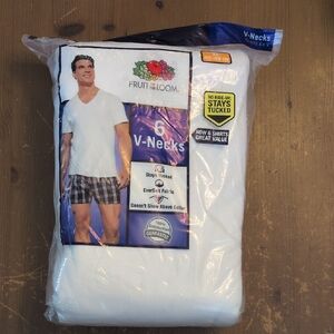 Fruit of the Loom Men's White V-Neck Undershirts